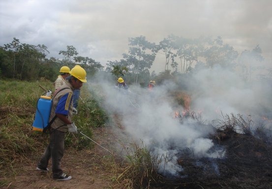 Bosbrand Amazone regenwoud Arbolivia